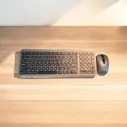 LeadsaiL Wireless Keyboard and Mouse Combo Gray KF002+LX001 W Batteries