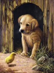 Junior Small Paint By Number Kit 8.75"X11.75" Labrador Puppy