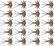 Bass Fly Fishing Lures - Realistic 20x, Hand Tied Trout Bait | Sufficient Quantity Nymph Body Components, Fly Tying Kit for Salmon, Freshwater Fishing Lures, Durable Fishings Flys Set