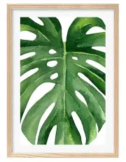 [Profile Australia] Australian Made Monstera Leaf Art Print A3 in Natural Frame
