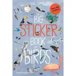 THE BIG STICKER BOOK OF BIRDS/YUVAL ZOMMER【禮筑外文書店】