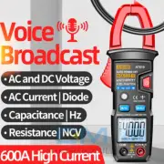 ANENG AT619 Digital Voice Broadcast Multimeter Professional DC AC Clamp Meter