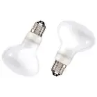 2 Pack Reptile Uvb Uva Heat Lamp Bulb For Truly Sun-Like Bright2136