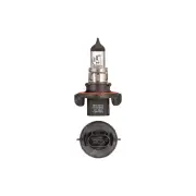Narva H13 H15 Halogen Globe Lights Headlight 12 Volt 60/55W P26-4T 48092