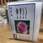 果凍花專用花針-10玫瑰
