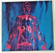 Nirvana - Sliver / Dive 7" Single Sub Pop 1994 Press Near Mint Unplayed Subpop