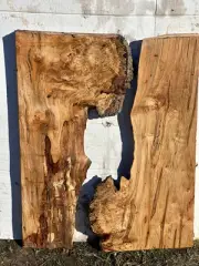 A21 Spalted Ambrosia Maple Burl BirdsEye DIY Epoxy River Side Table 24x18x1.25