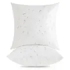 16x16 Outdoor Pillow Inserts (Pack of 2) - Square Waterproof 16 x 16 (2 Packs)
