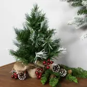 Northlight Whitecap Pine Artificial Mini Christmas Tree - 14" - Unlit
