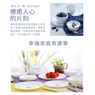 【美國康寧 CORELLE】紫梅900ml拉麵碗