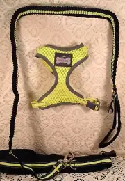 FAIR EAGLE Reflective Adjustable Soft Mesh Pet Dog Harness with Leash & Bags