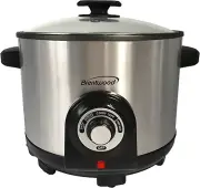 Electric Deep Fryer & Multi Cooker, 5.2 Quart, Stainless Steel