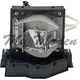 INFOCUS ◎SP-LAMP-041 OEM副廠投影機燈泡 for 6、IN3900、IN3902、IN3904