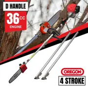BBT 36cc Petrol 4 Stroke 10" Pole Chainsaw
