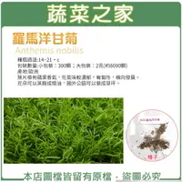 在飛比找樂天市場購物網優惠-【蔬菜之家】羅馬洋甘菊種子(共2種規格可選)