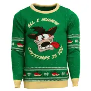 Crash Bandicoot Christmas Jumper - Green