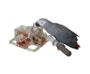 Featherland Paradise Foraging 4 Corners Cage Mount Bird Toy 21.5cm