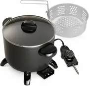 Electric Deep Fryer Home Restaurant Kitchen Kettle Fries Chicken Cooker Steamer