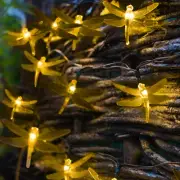 30 LED Dragonfly String Light - Solar Powered