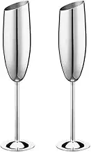 Haniforever Silver Champagne Glasses Set of 2,8.2oz Stemmed Stainless Steel Unbreakable Champagne Flutes, Vintage Tall Metal Wine Glasses for Drinking Toasting Anniversary Wedding Christmas