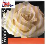 Wondertone Solo Violin String Set 4/4 E Ball End A-SYNTHETIC