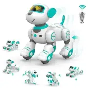 Programmable Remote Control Robot Cat Robot Dog for Kids, Interactive Green