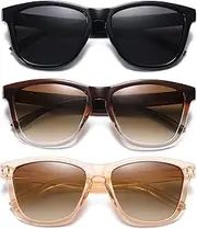 [DANAMY] Sunglasses Womens Polarized Trendy Sunglasses - Men & Women Mirrored Driving Fishing Sun Glasses with UV400 Protection