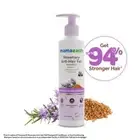 MAMAEARTH ROSEMARY ANTI-HAIR FALL SHAMPOO | Reduce Hair Loss &Breakage|250ml