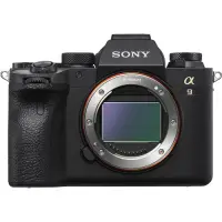 在飛比找Yahoo奇摩購物中心優惠-SONY ILCE-9M2 A9II 單機身 全片幅單眼相機