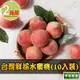【享吃鮮果】台灣鮮採水蜜桃2箱(10入裝/1公斤±10%/箱)