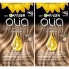 Garnier Hair Color Olia Ammonia-Free Permanent Hair Dye, H02 Highlights for