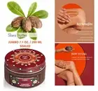 L'Occitane GREEN CHESTNUT COMPOTE SCRUB with Shea Butter 7.1 OZ. SEALED