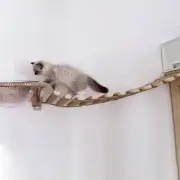 Wall Bridge Cat Climbing Furniture Wooden Rope Ladder Mounted Shelf Toy Step Pet
