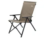 Coleman Lei Chair (Greige) NEW