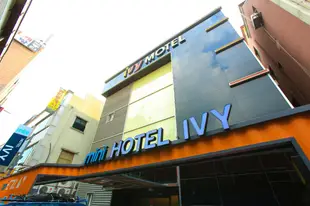 迷你IVY飯店mini hotel IVY