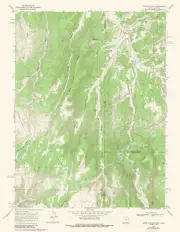 Topographical Map - Davis Canyon Utah Quad - USGS 1966 - 23 x 29.57