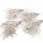 Decorations Artificial Plant Simulation Flowers White Grass Snow Pine Branch