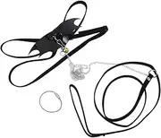 JOINPAYA Bearded Dragon Leash Lizard Harness Traction Rope Reptile Harness Kit for Small to Medium Reptiles Easy to Use