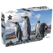 Puzzle Master - Penguins 1000 Piece Puzzle
