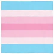 Transfeminine Pride Bandana Trans-Feminine NonBinary LGBTQ LGBTQIA LGBT RIghts