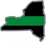 4" New York NY State Thin Green Line Military Ranger Federal Agent Decal Sticker