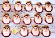 15-Christmas-Victorian-Fussy Cut-Embossed-Scraps-Santa-Glittered-Stickers