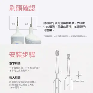 Oral-B 歐樂B電動牙刷頭【台灣現貨】買５送１ 副廠 歐樂B刷頭 替換刷頭 牙刷頭 OralB 杜邦刷毛 耗材