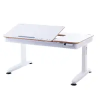 在飛比找PChome24h購物優惠-大將作 Kid2Youth E6-120S 動態成長電動桌 
