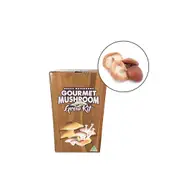 Aussie Mushroom Ready to Grow Mushroom Kit - Shiitake - Easy to Fruit