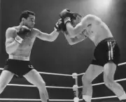 French Boxer Alphonse Halimi Faces Freddie Gilroy Old Boxing Photo