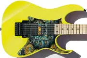 Pickguard Headstock Tremolo Skin Wrap Reskin for Guitars - Fractal Echo 695
