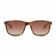 Sparco Race Havana Brown Sunglasses