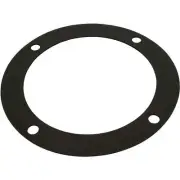 Gasket, AquaFlo AC, Volute, 6-1/4"ID, 7-13/16"OD, Generic
