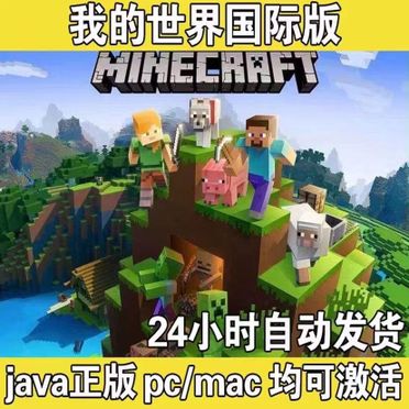 💎$20優惠Minecraft Java 正版激活🤩, 電子遊戲, 遊戲機配件, 遊戲禮物